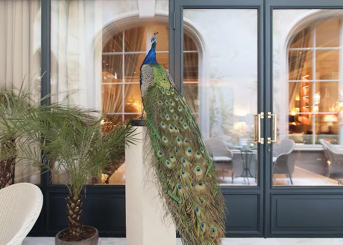 호텔 Le Bristol Paris, Oetker 파리